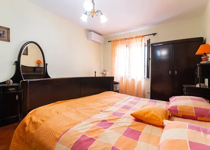 House Suzi Nyaraló *